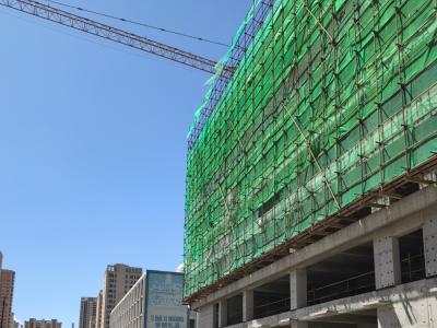 2025.05�����D